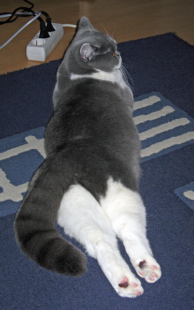 开云体育中国-巅峰对决狂飙40+国王三军用命射落火箭，马克西季后赛模式开启接管联盟