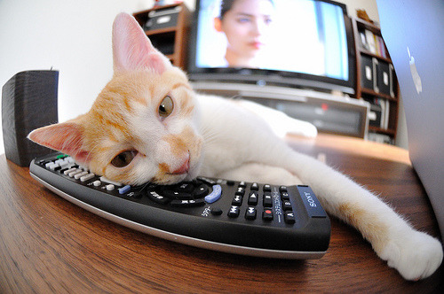 绿茵烽火与篮坛绝杀,当意甲巅峰对决遇上爵士致命一击