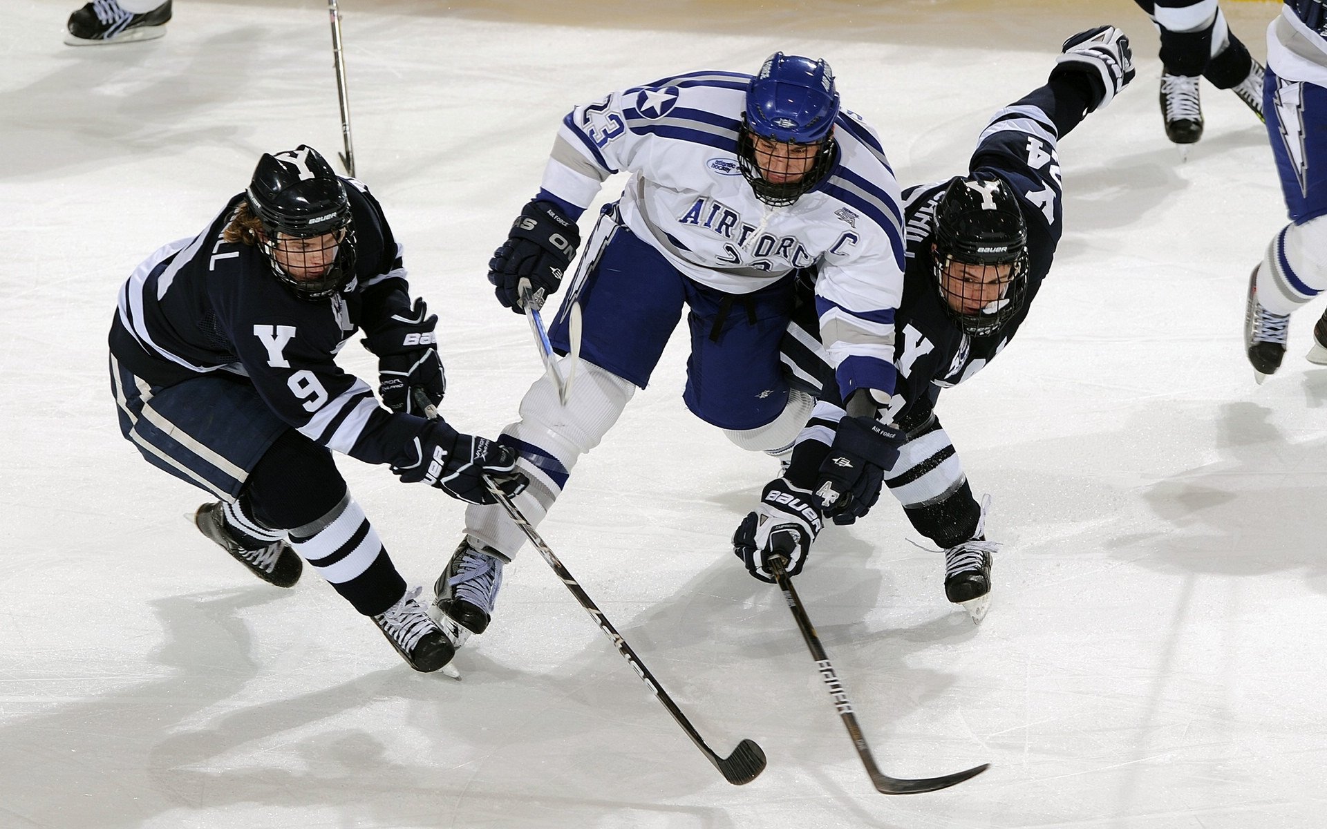 欧战基因觉醒!武切维奇意甲式统治力碾压禁区,公牛主场掀翻雄鹿